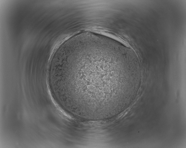 X0000056370049200509091659