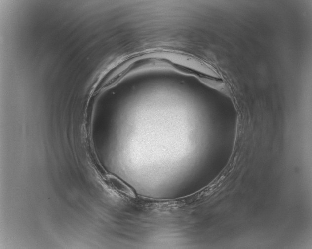 X0000056370050200509091659