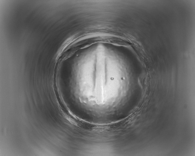 X0000056370051200509091659