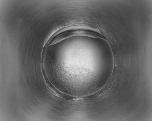 X0000056370052200509091659