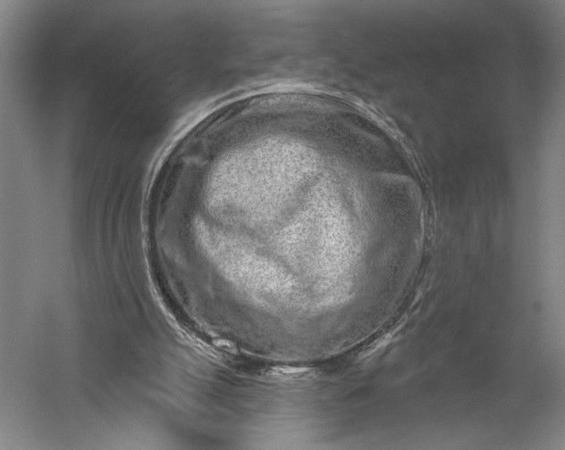 X0000056370055200509091659