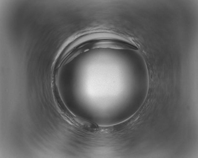 X0000056370056200509091659