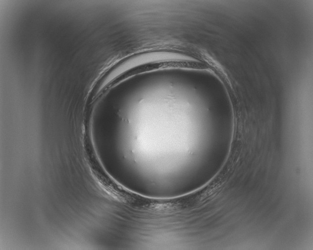 X0000056370059200509091659