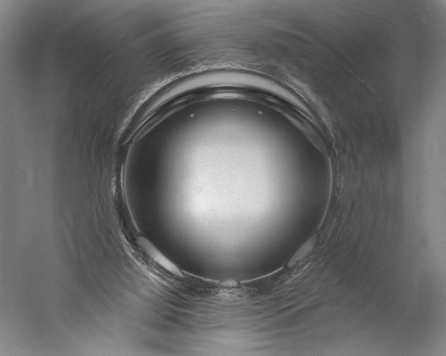 X0000056370060200509091659