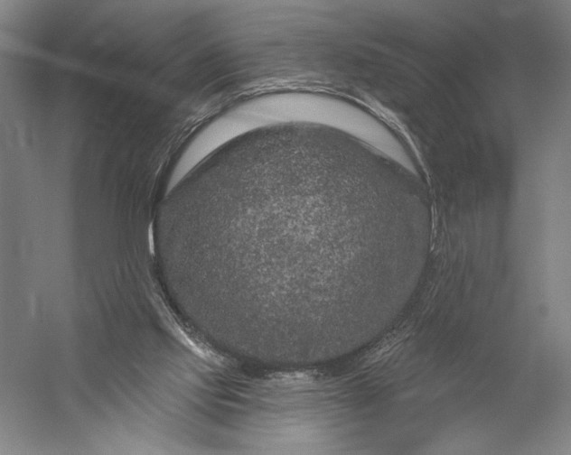 X0000056370061200509091659