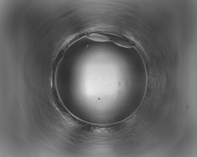 X0000056370062200509091659