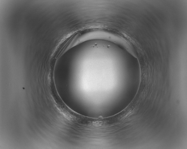 X0000056370064200509091700