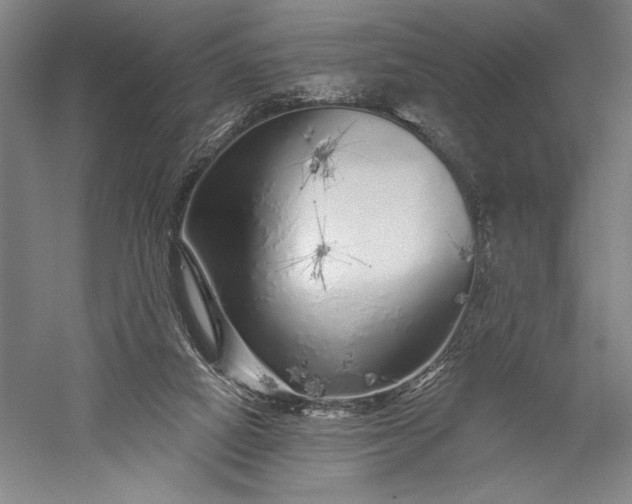 X0000056370066200509091700