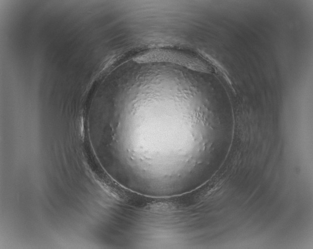 X0000056370067200509091700