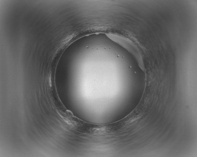 X0000056370068200509091700