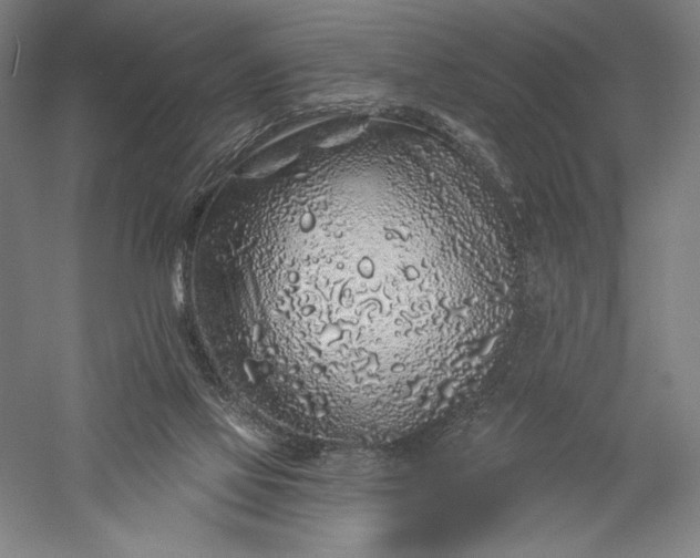 X0000056370069200509091700