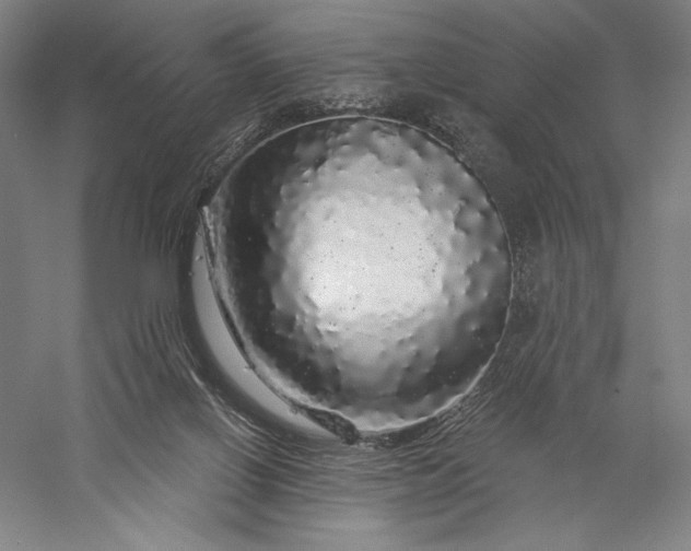 X0000056370070200509091700