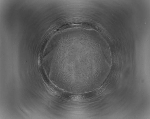 X0000056370074200509091700