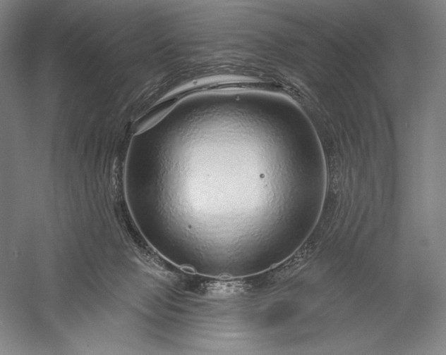 X0000056370077200509091700