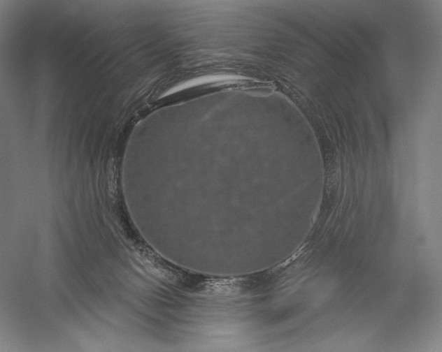 X0000056370078200509091700