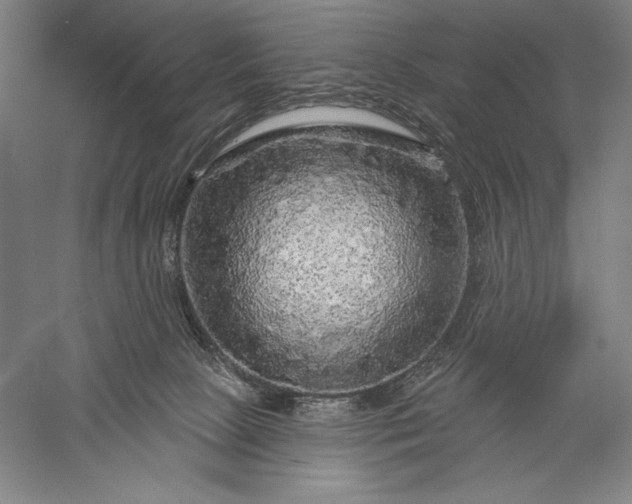 X0000056370081200509091700