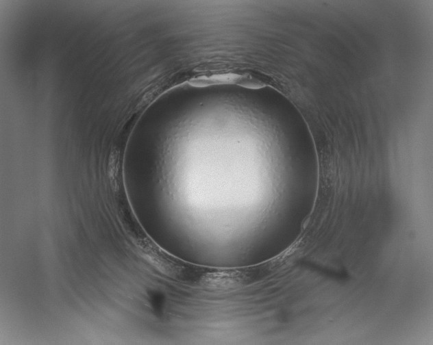 X0000056370082200509091700