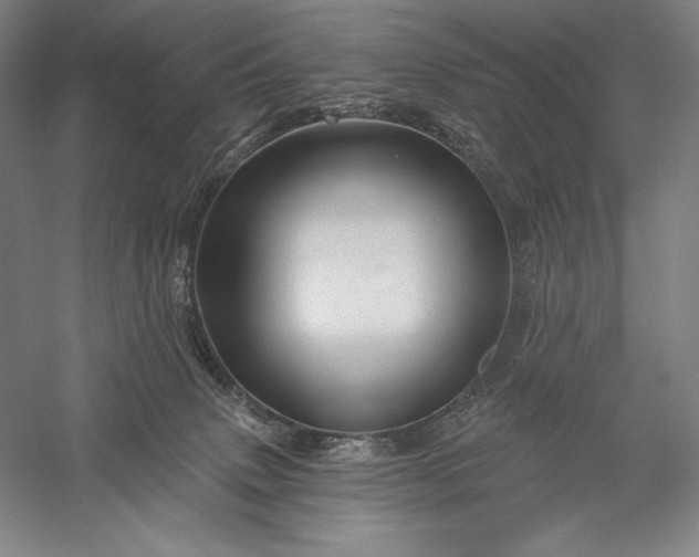 X0000056370083200509091700