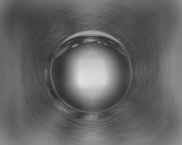 X0000056370084200509091700