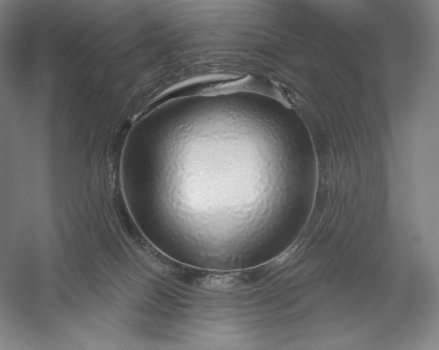 X0000056370086200509091700