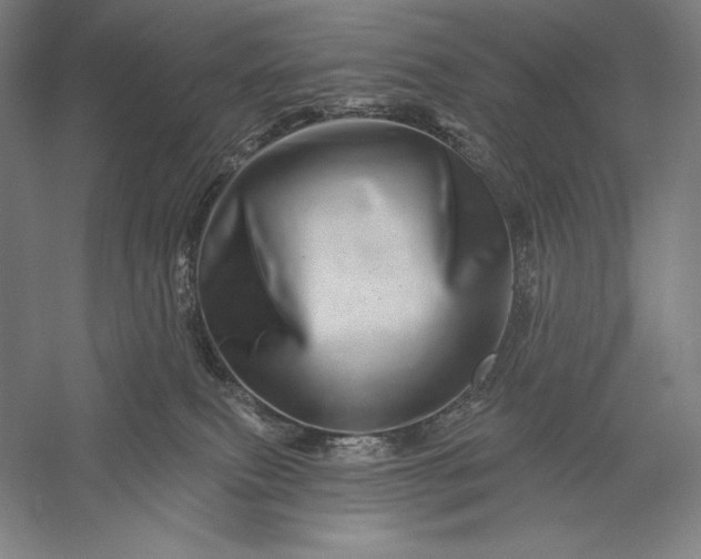 X0000056370087200509091700