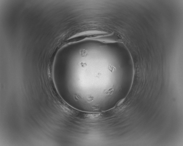 X0000056370089200509091700