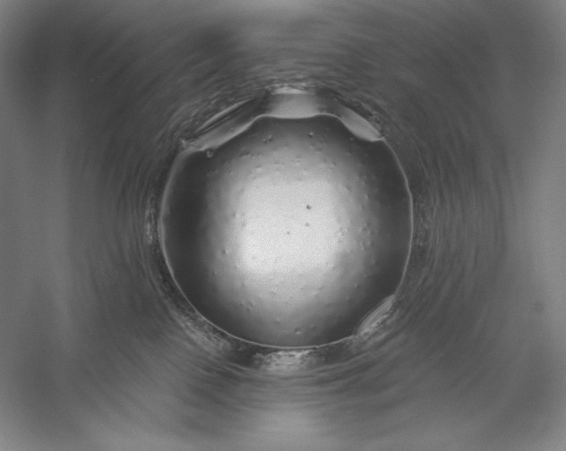 X0000056370090200509091700