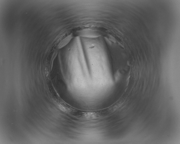 X0000056370091200509091700