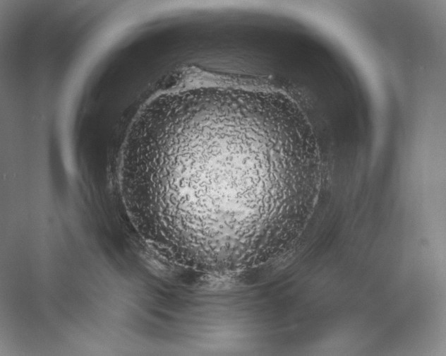 X0000056370093200509091700