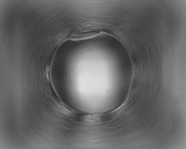 X0000056370094200509091700