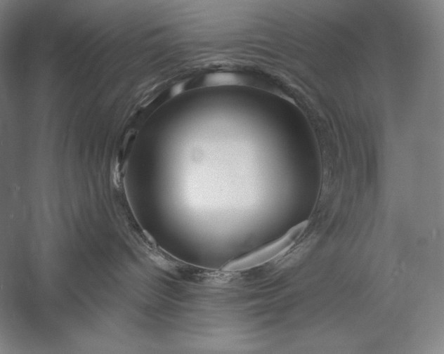 X0000056370096200509091700