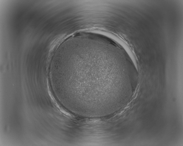 X0000056370097200509091659