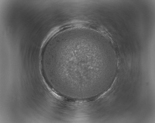 X0000056370101200509091659