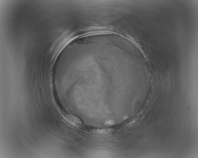 X0000056370103200509091659