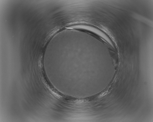 X0000056370105200509091659