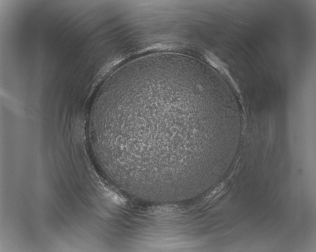 X0000056370106200509091659