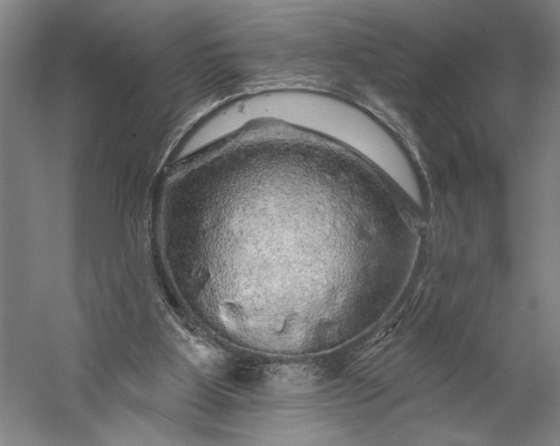 X0000056370107200509091659