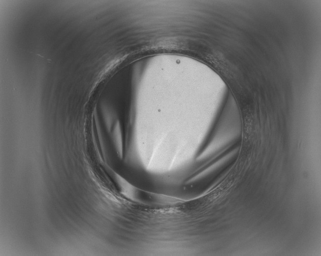 X0000056370112200509091659