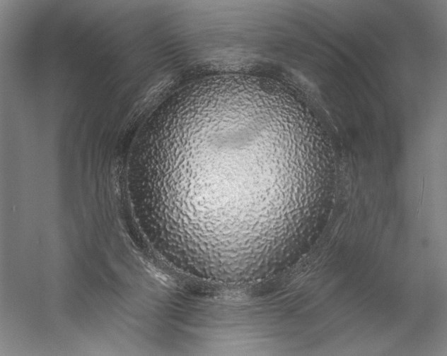 X0000056370114200509091659