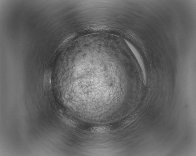 X0000056370115200509091659