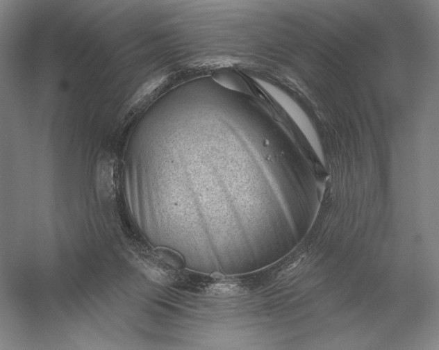 X0000056370119200509091659