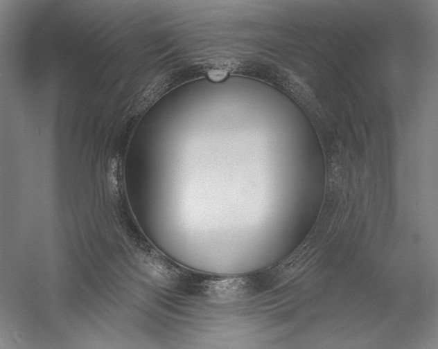 X0000056370122200509091659