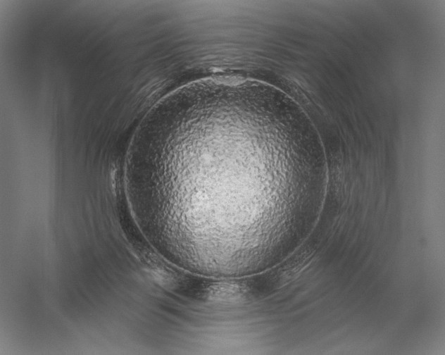 X0000056370123200509091659