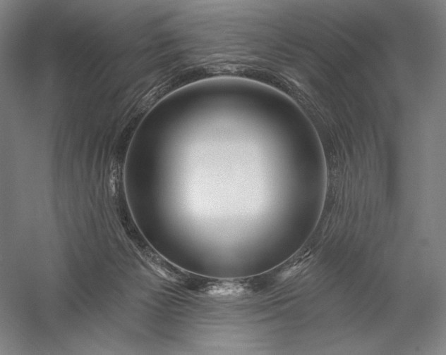 X0000056370125200509091659