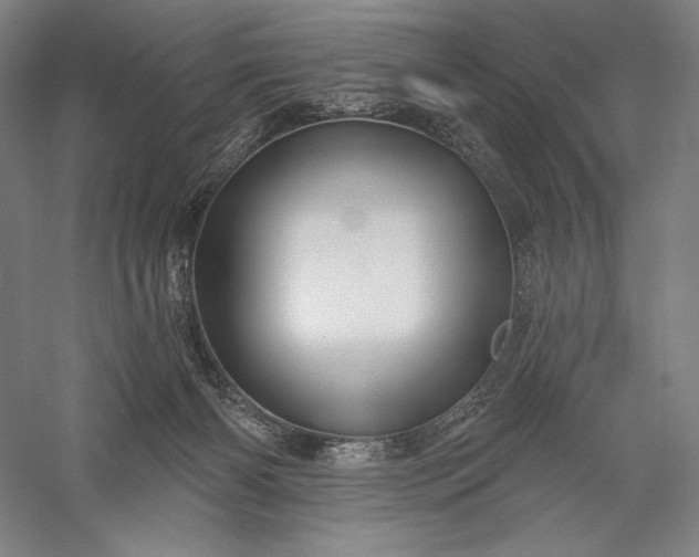 X0000056370126200509091659