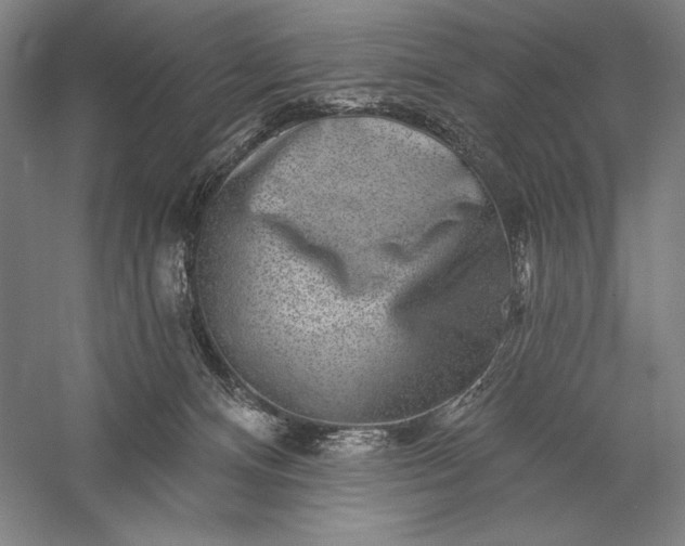 X0000056370128200509091659