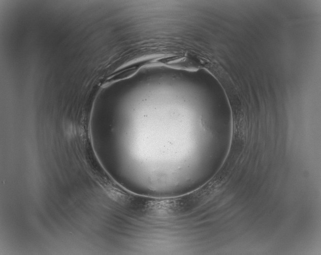 X0000056370131200509091659