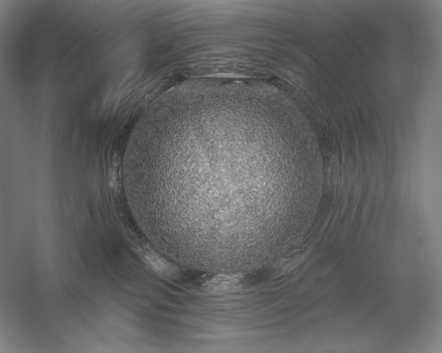 X0000056370138200509091659