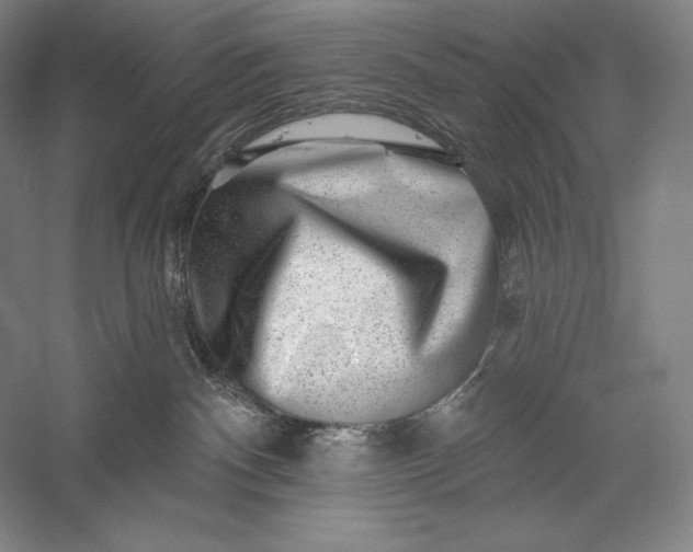 X0000056370140200509091659