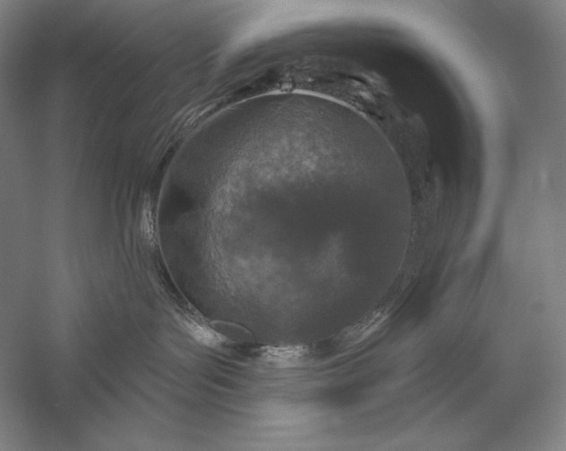 X0000056370143200509091658